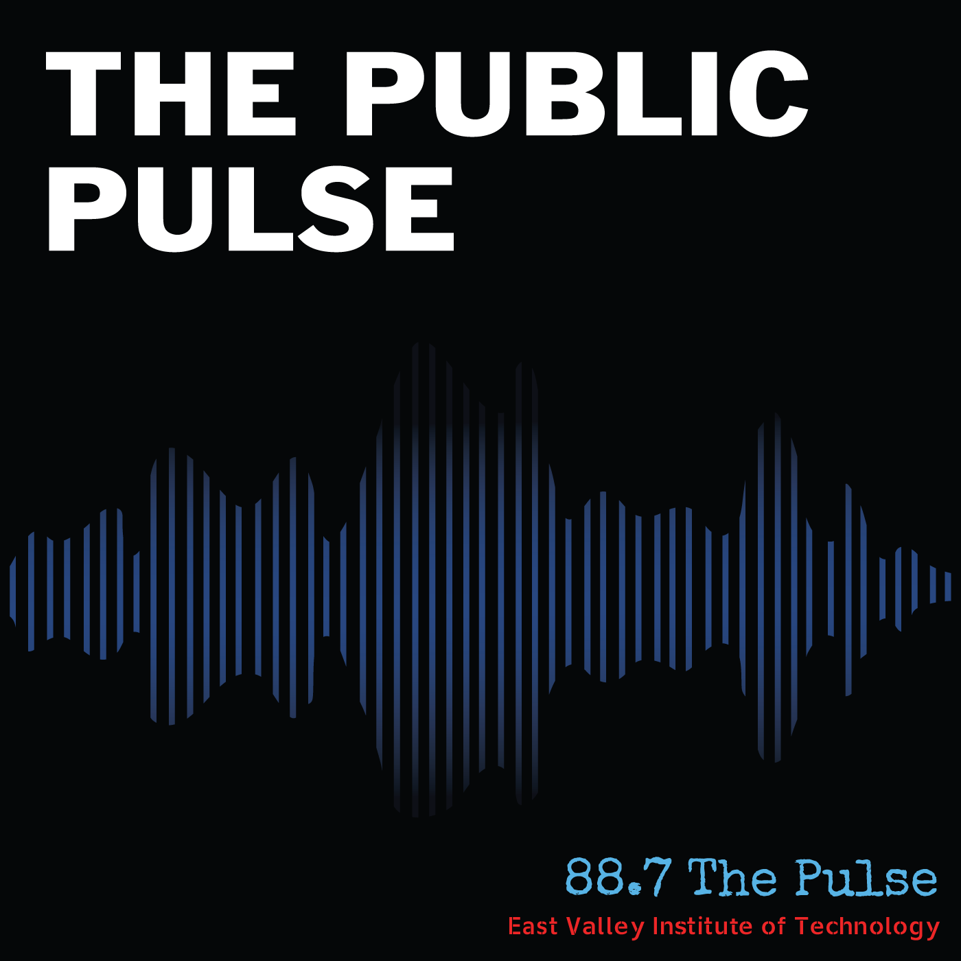 The Public Pulse Podcast